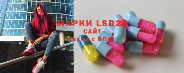 ПСИЛОЦИБИНОВЫЕ ГРИБЫ Балахна