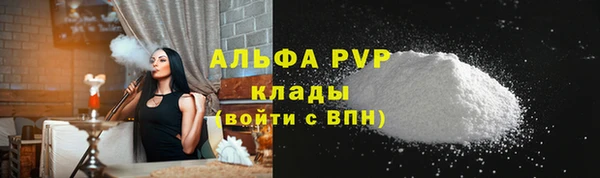 прущие грибы Няндома