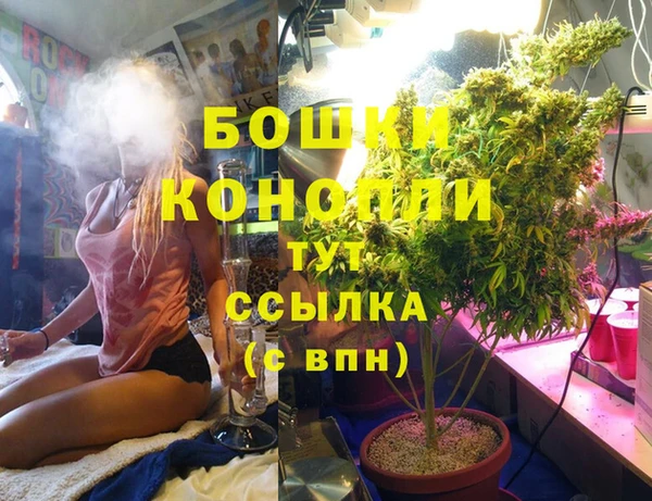 ПСИЛОЦИБИНОВЫЕ ГРИБЫ Балахна