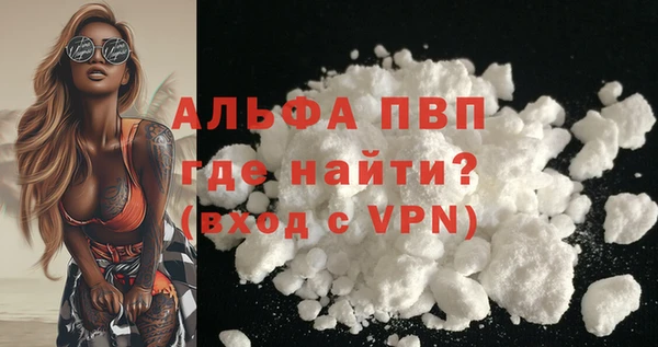 прущие грибы Няндома