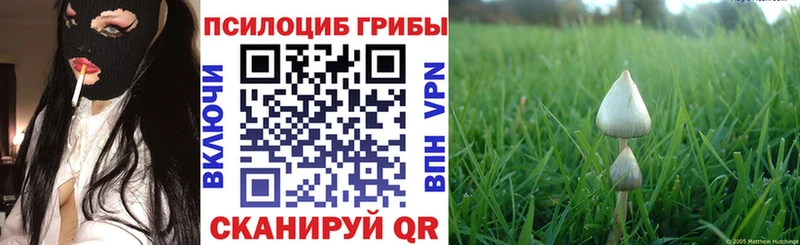 нарко площадка какой сайт  Юрьев-Польский  Галлюциногенные грибы Cubensis 